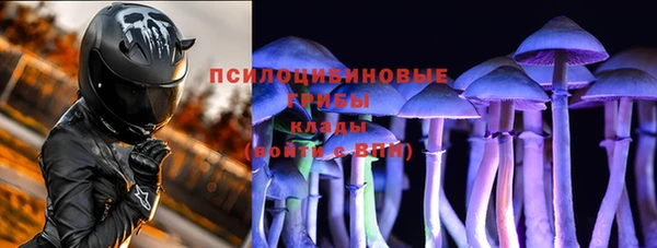бошки Алексеевка